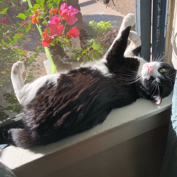 About me!💖 - Picture 3 of 4